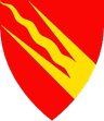 IT EKSAMENSVAKT logo